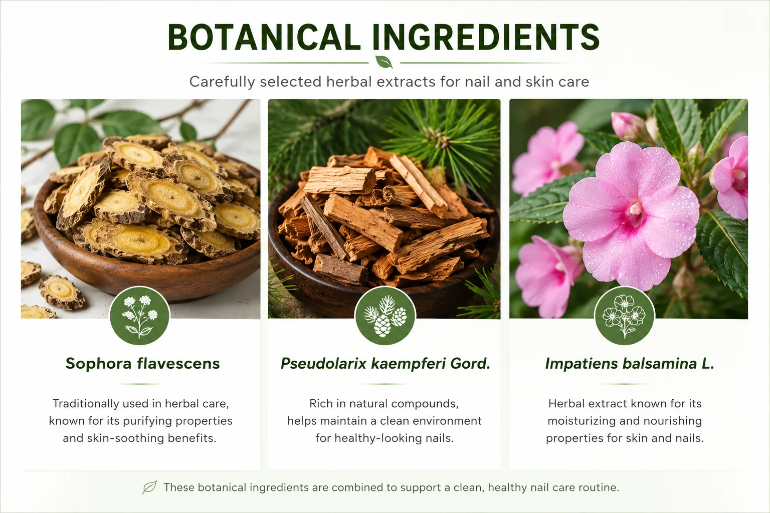Botanical ingredients: Sophora flavescens, Pseudolarix kaempferi Gord., Impatiens balsamina L.